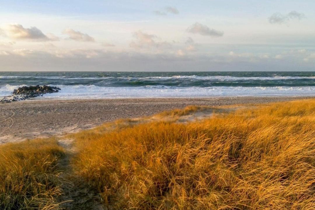Photo of Others in Vrist Strand