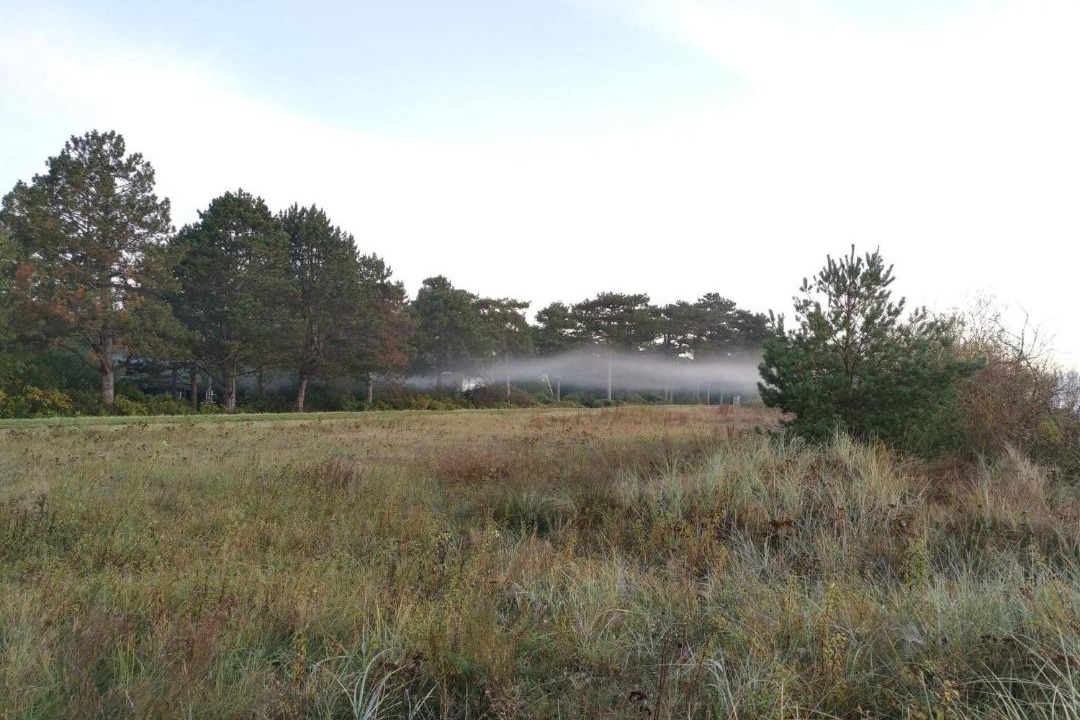 Photo of Others in Bøtø By