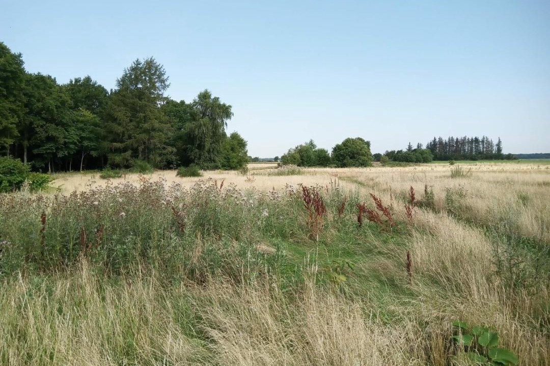 Photo of Others in Storvorde