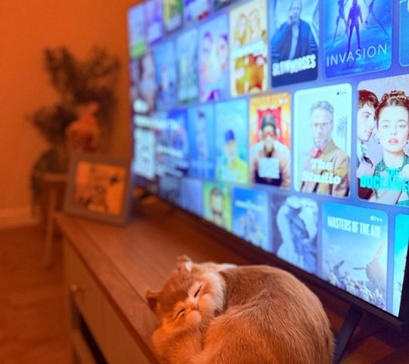 Photo of Others in Dudley