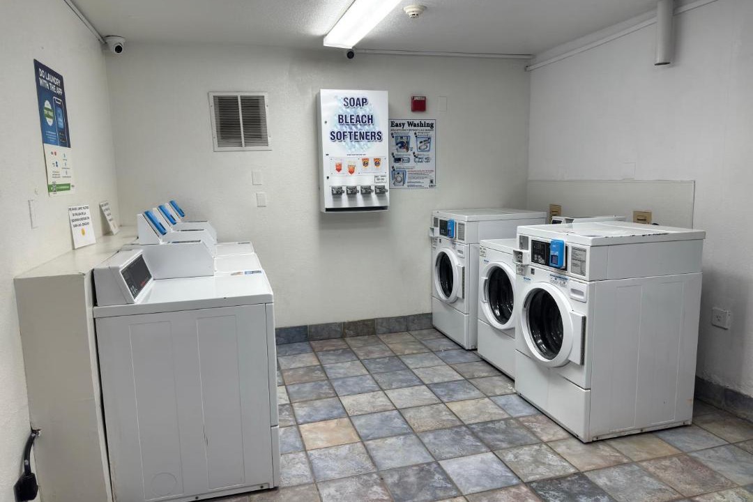 Photo of Others in Enfield