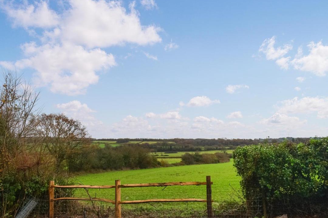 Photo of Others in Cowbeech