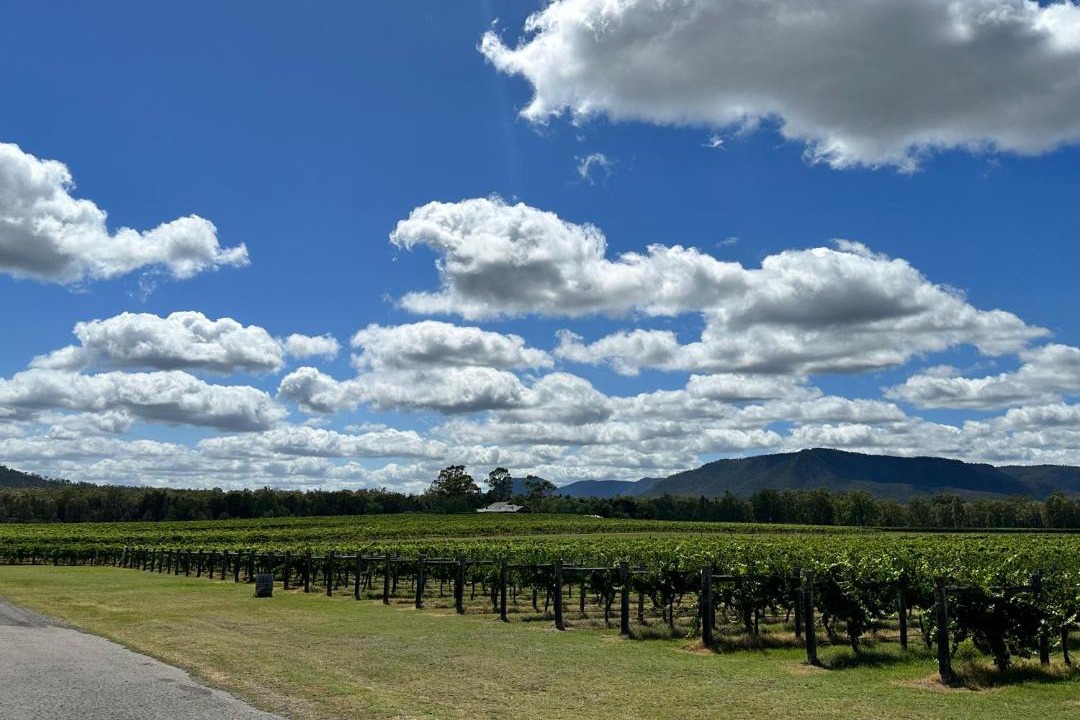 Photo of Others in Broke