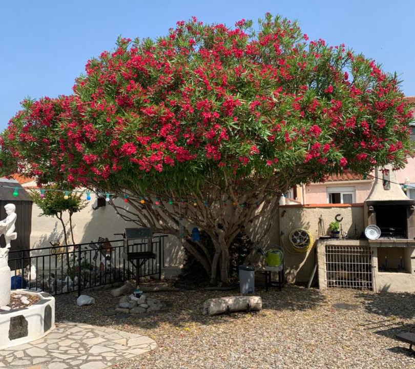 Photo of Others in Cuxac-dʼAude