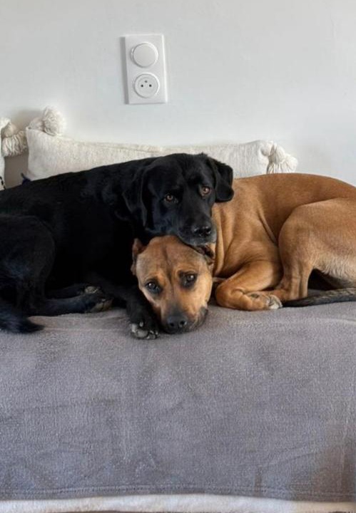 Photo of Others in Cuxac-dʼAude