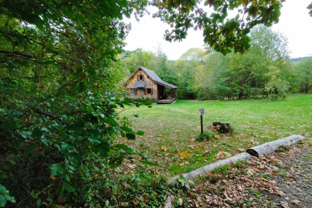 Photo of Others in Corancy