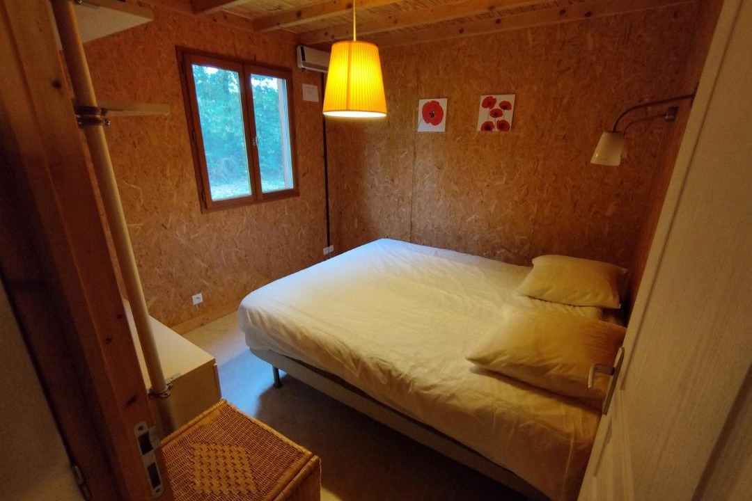 Photo of Others in Corancy