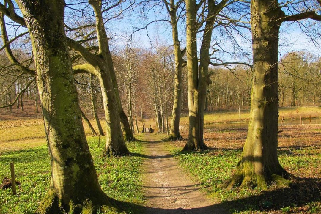 Photo of Others in Hojslev