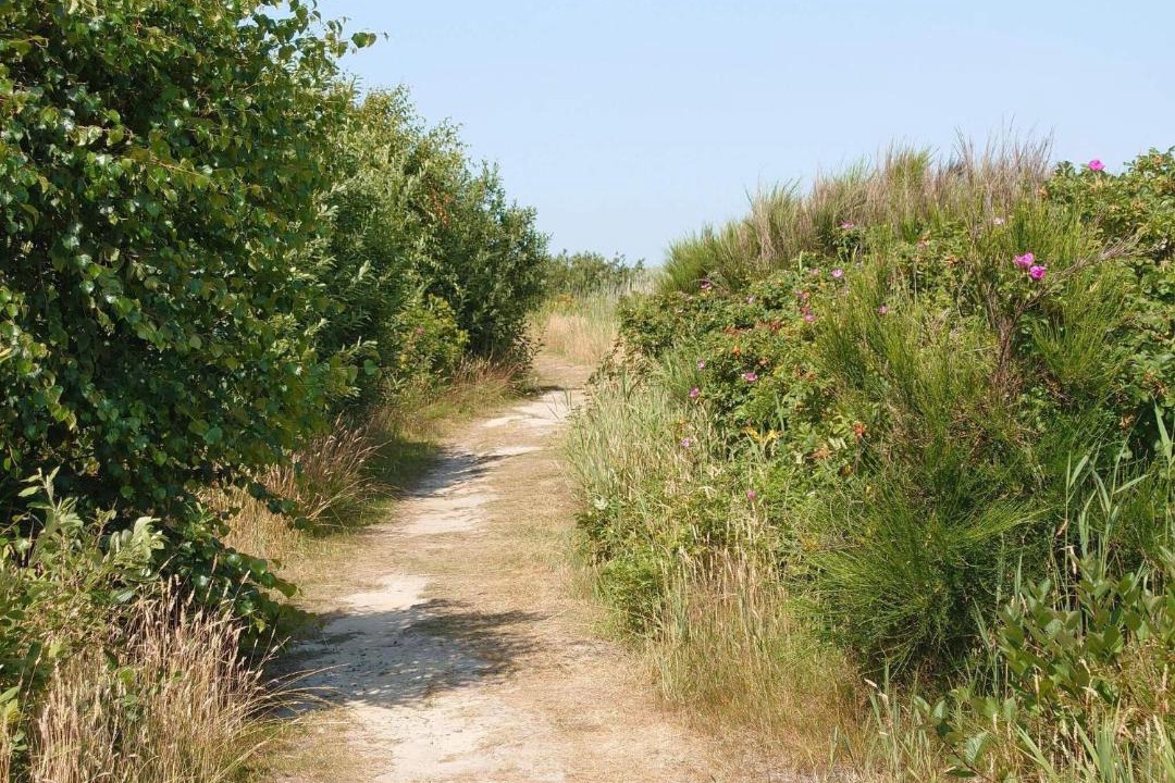 Photo of Others in Nørre Fjand
