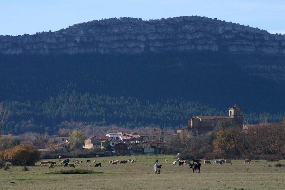 Photo of Buildings in Herreros