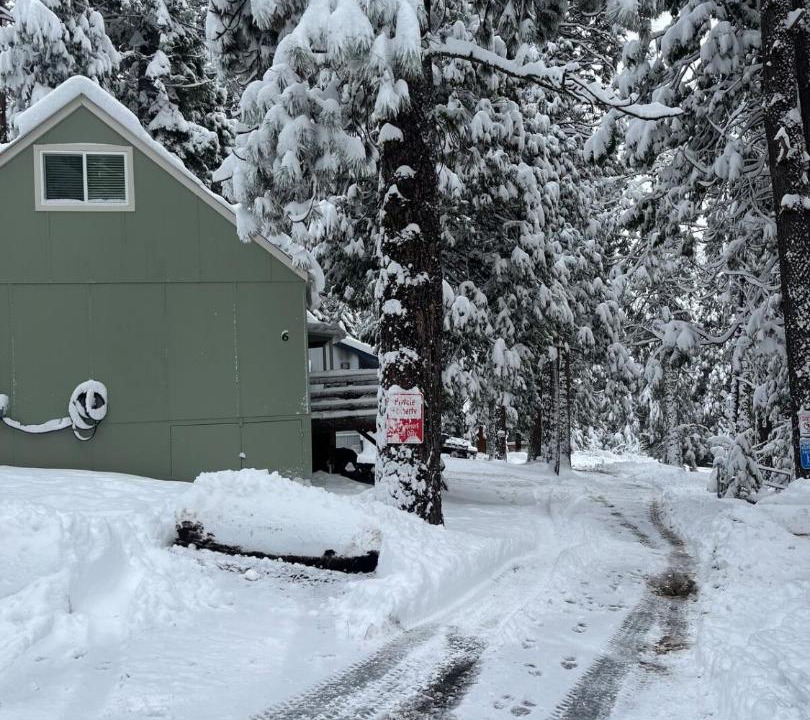 Photo of Others in Strawberry