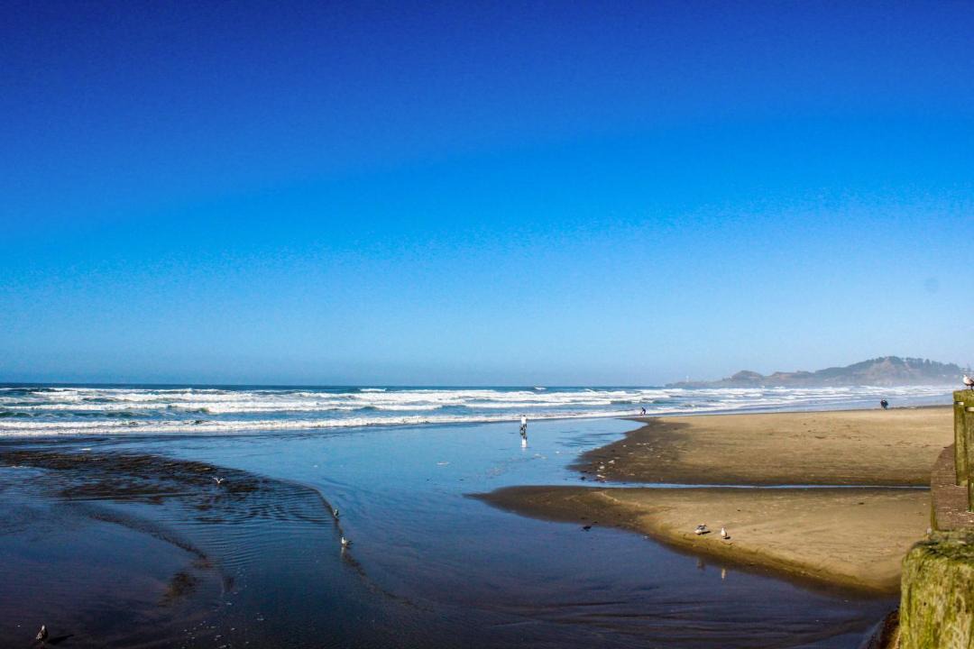 Photo of Others in Newport