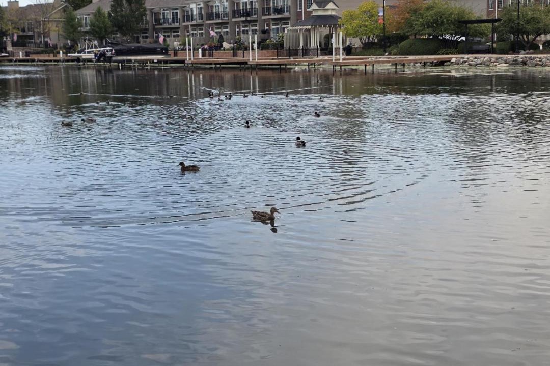 Photo of Others in McHenry