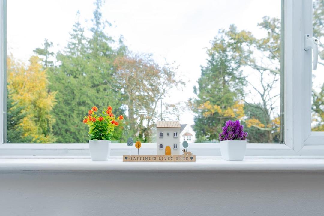 Photo of Others in Winton