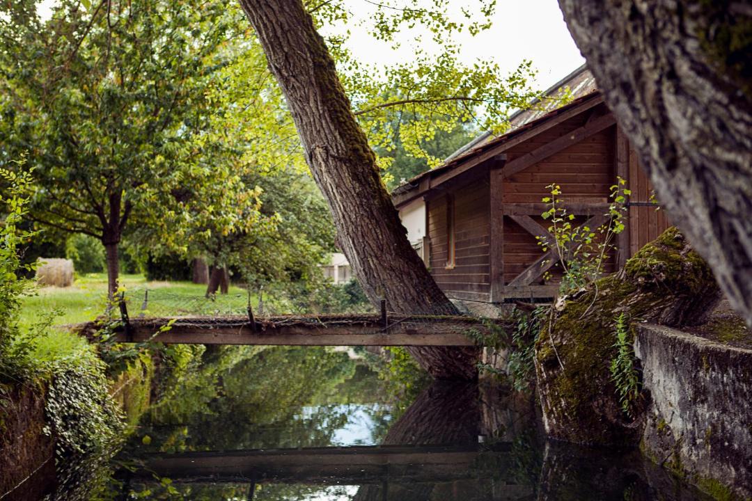 Photo of Others in Nuits-Saint-Georges