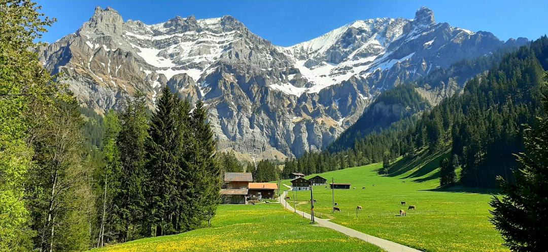 Photo of Others in Adelboden