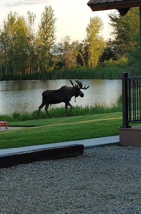 Photo of Others in Grantsdale