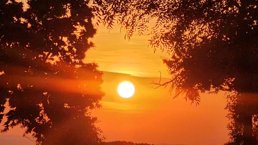 Photo of Others in Saint-Aubin-de-Locquenay