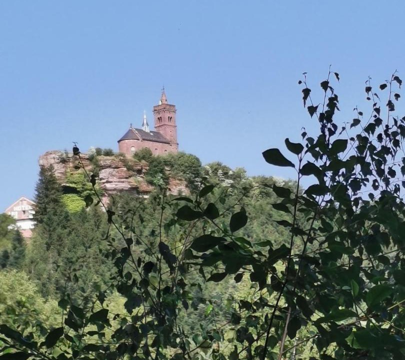 Photo of Others in Dabo