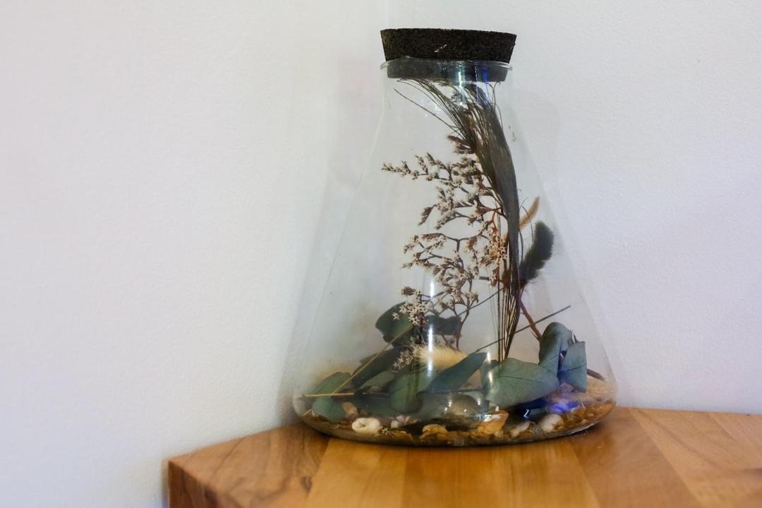 Photo of Others in Chazey-sur-Ain