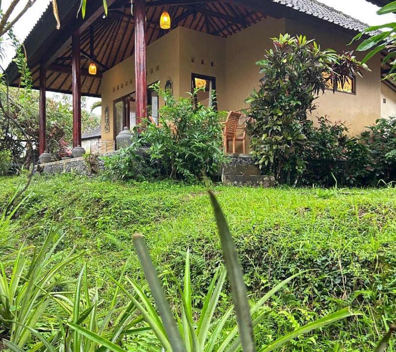 Photo of Others in Sidemen