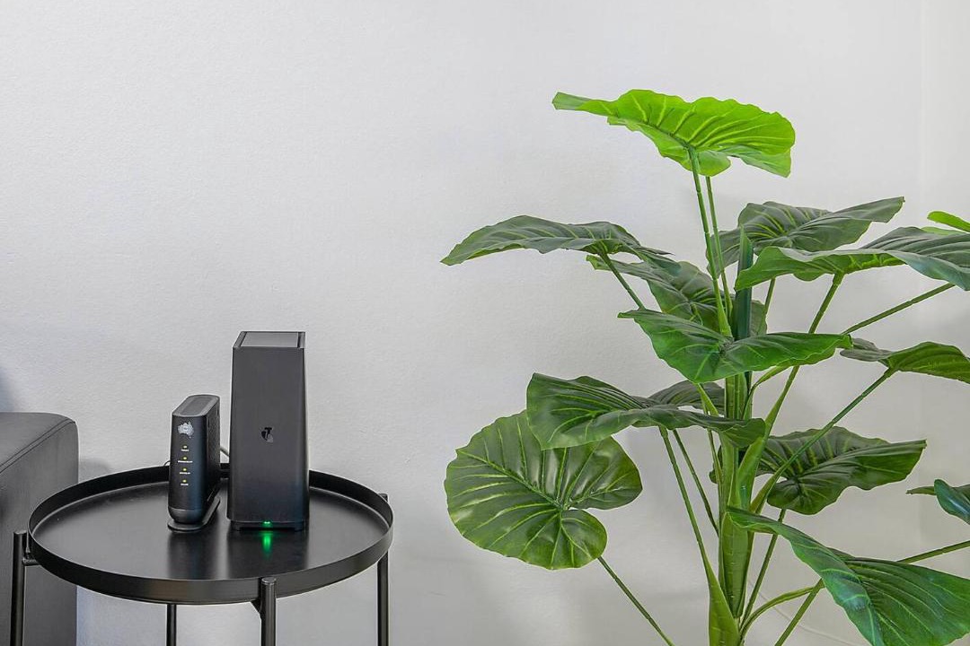 Photo of Others in Red Hill