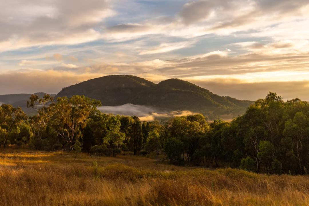 Photo of Others in Central Mudgee