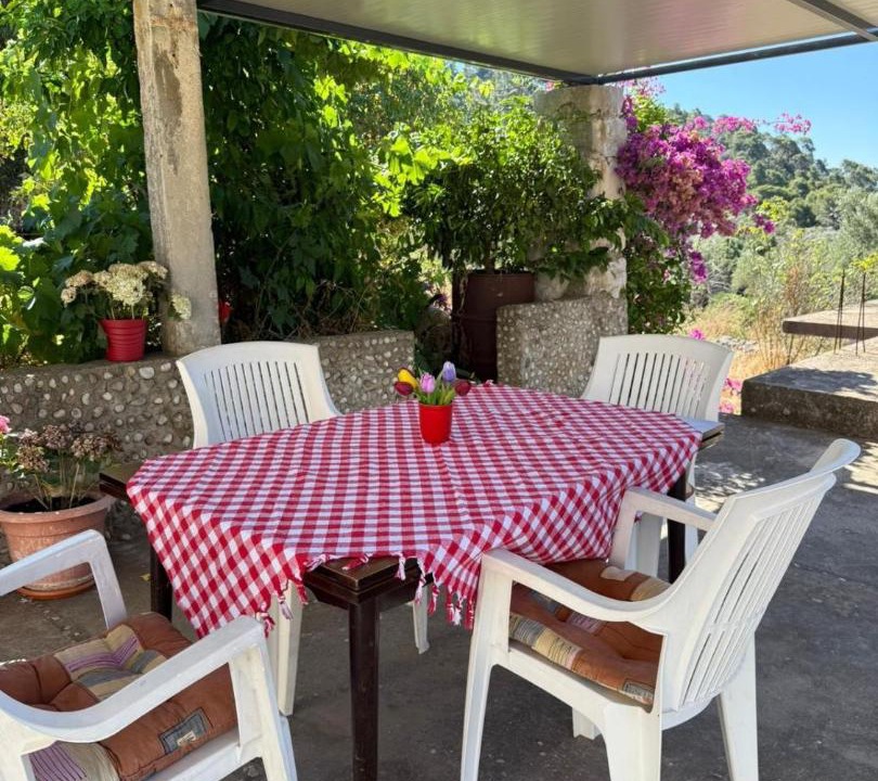 Photo of Others in Mljet