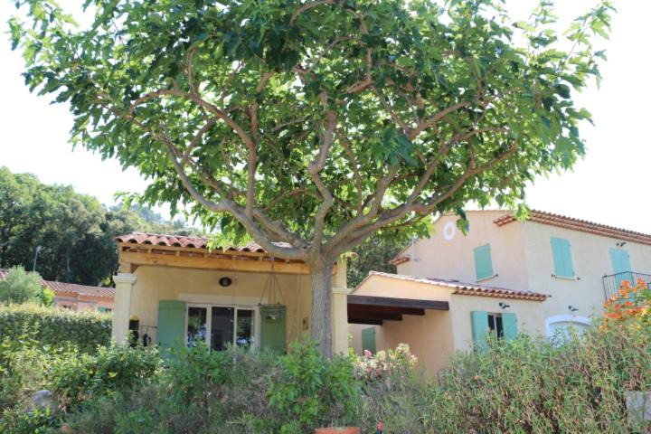 Photo of Others in Moissac-Bellevue