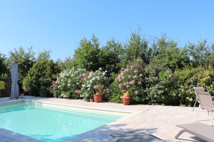 Photo of Others in Moissac-Bellevue