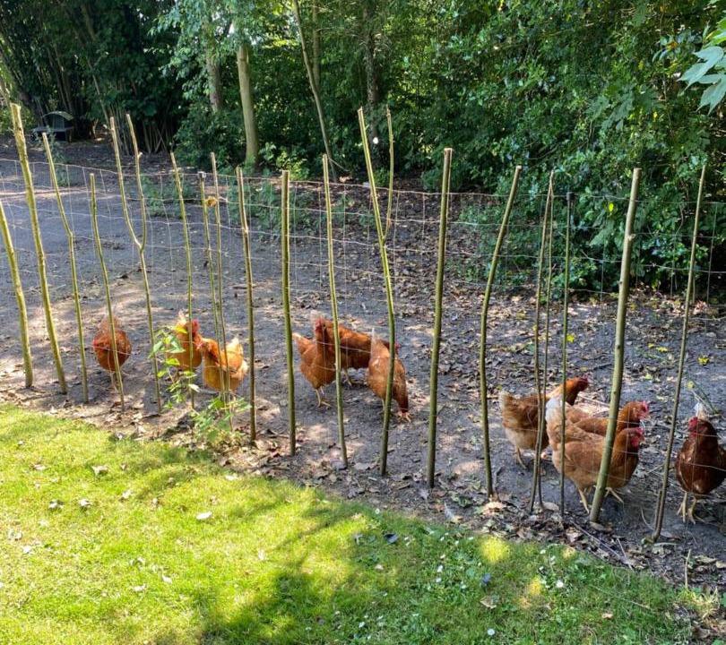 Photo of Outdoor in Vaeggerlose