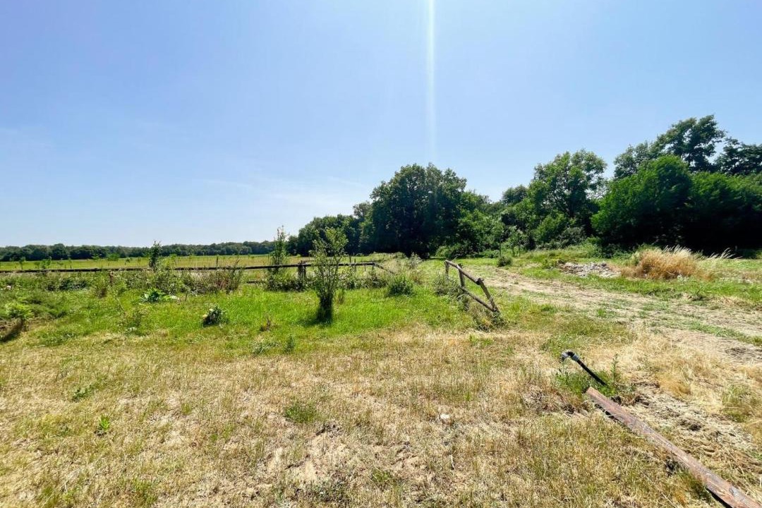 Photo of Others in Courcelles-de-Touraine