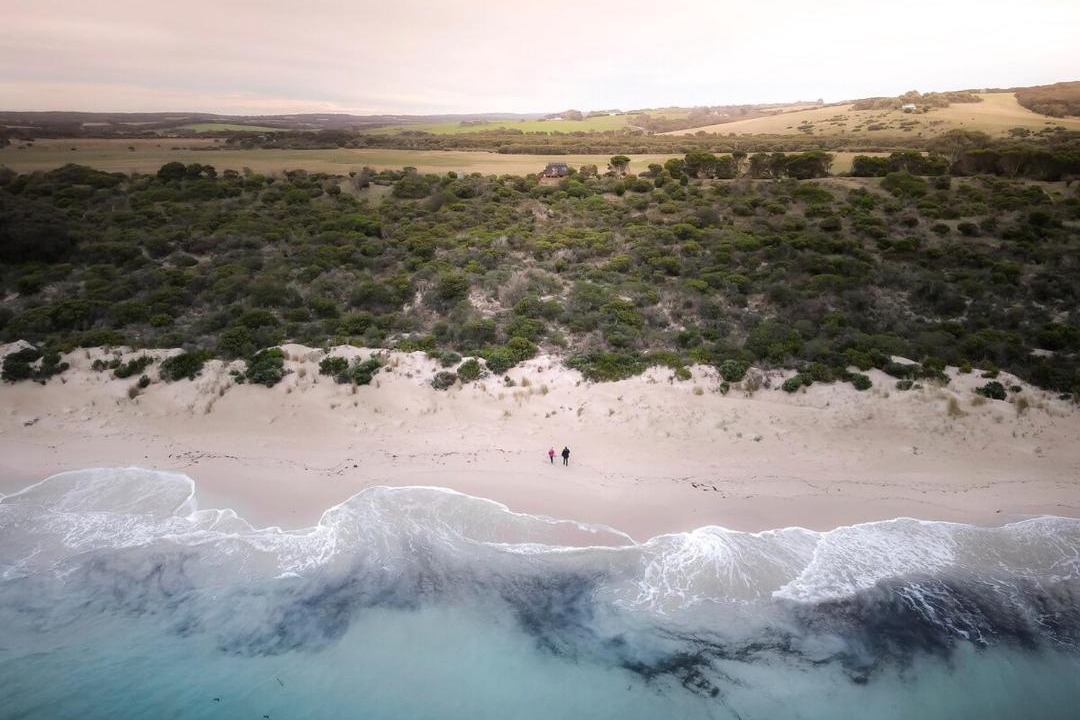 Photo of Others in Penneshaw