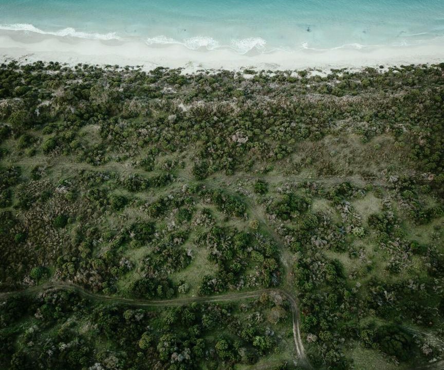 Photo of Others in Penneshaw