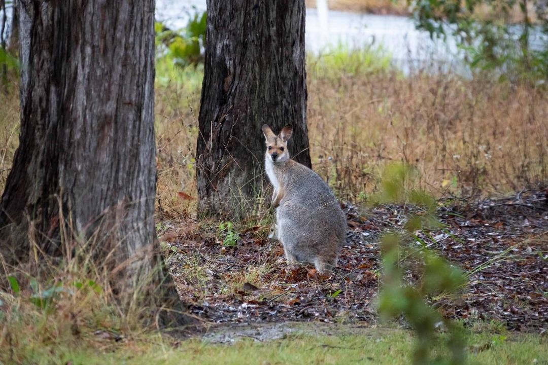 Photo of Others in Glenwood