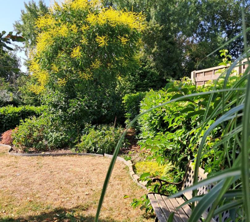 Photo of Others in Rouillon