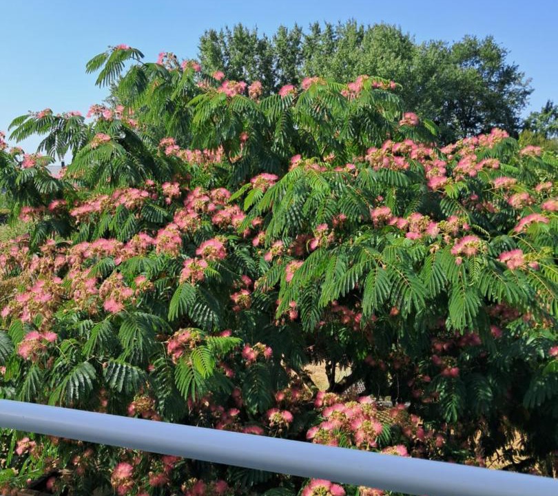 Photo of Others in Rouillon