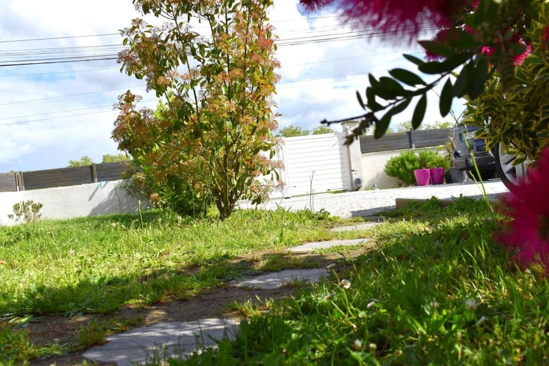 Photo of Others in Plaisance-du-Touch