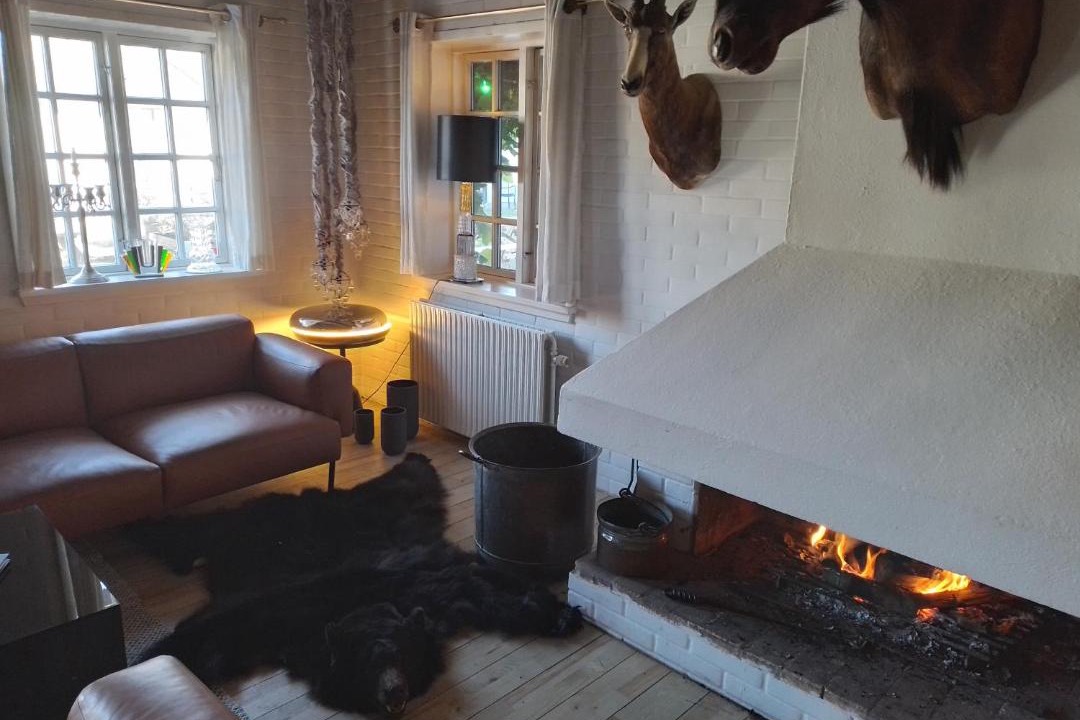 Photo of Livingroom in Nordby