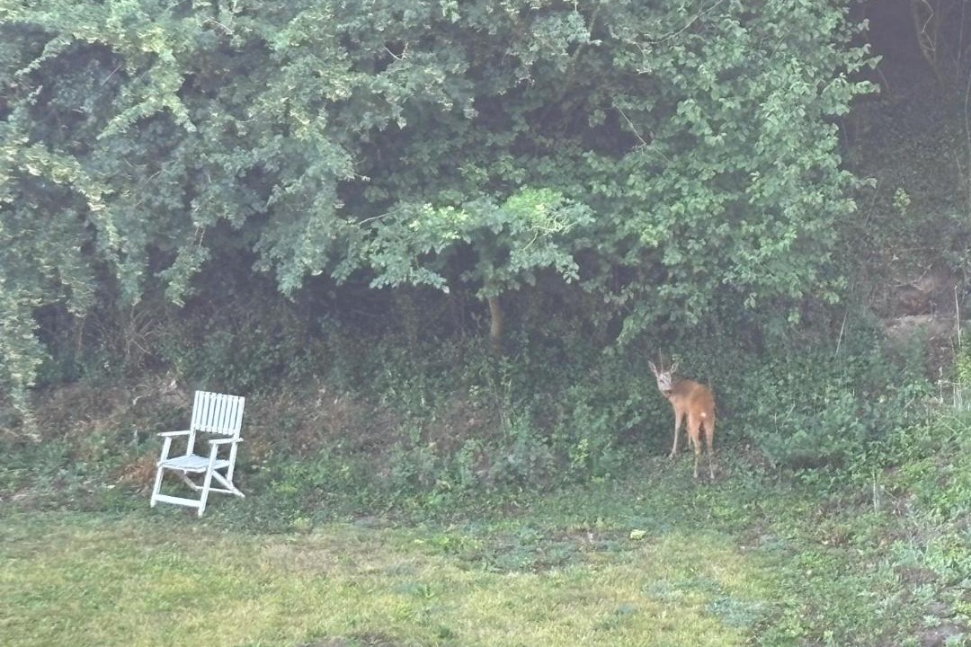 Photo of Others in Hermelinghen
