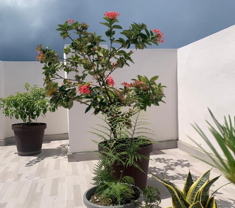 Photo of Others in Monte Plata