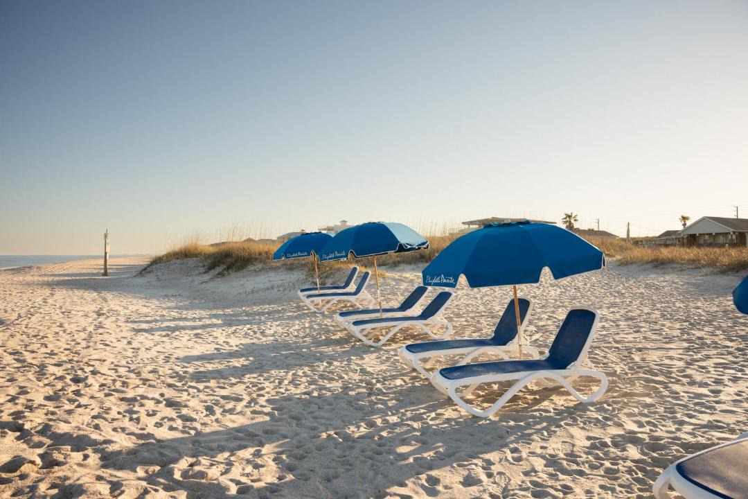 Photo of Others in Ocean Cay