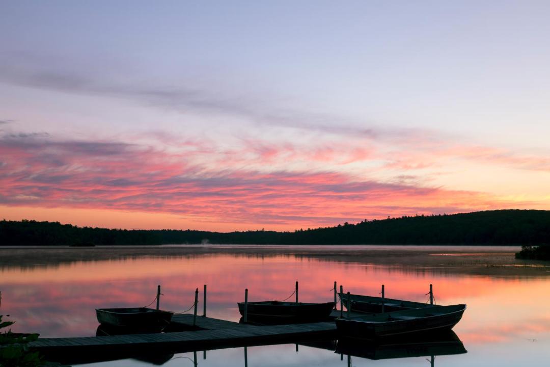 Photo of Others in Forestburgh