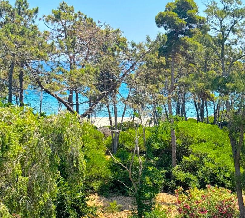 Photo of Others in Aleria