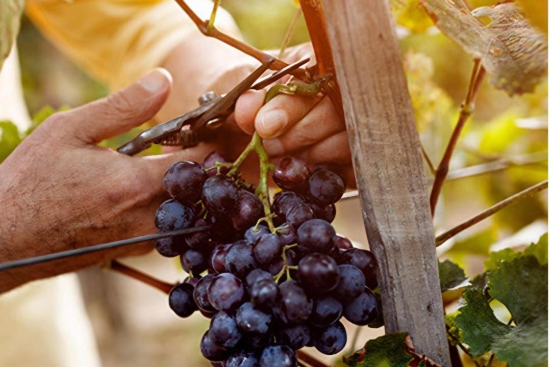 Photo of Others in Moussy