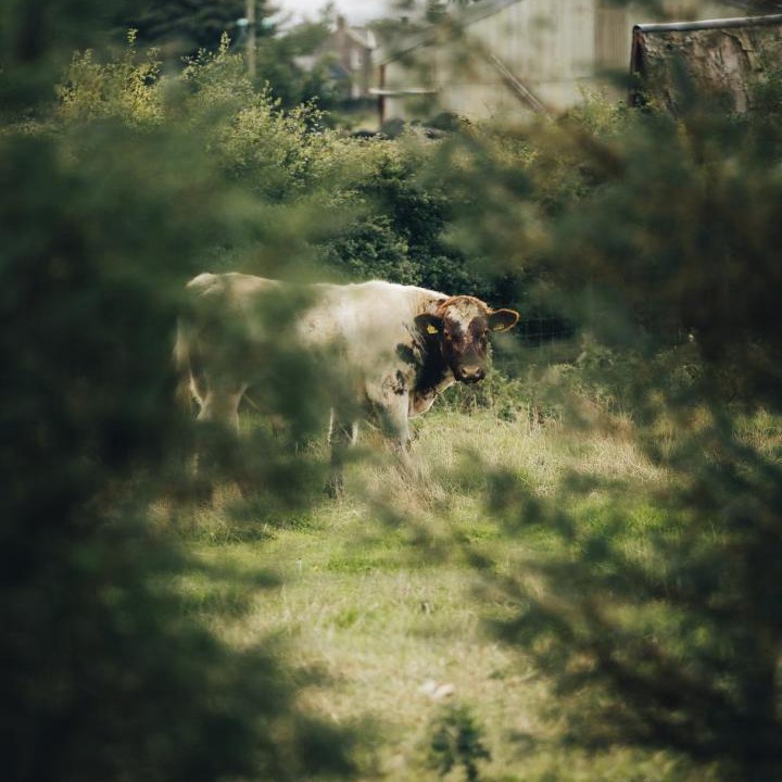 Photo of Others in Matfen