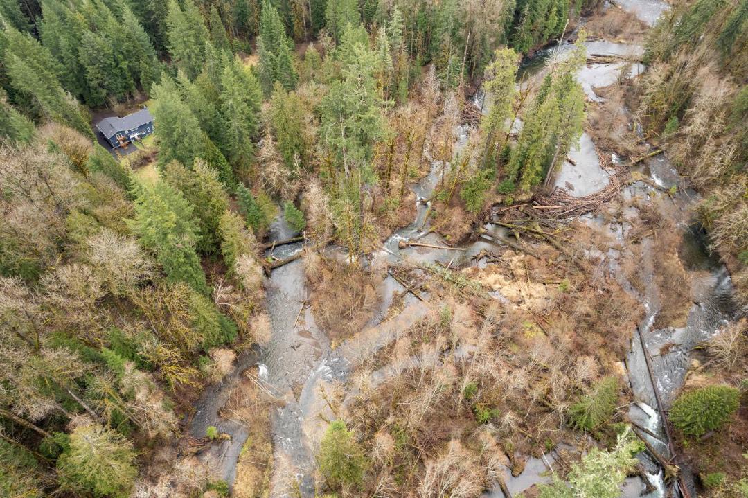 Photo of Others in McKenzie Bridge