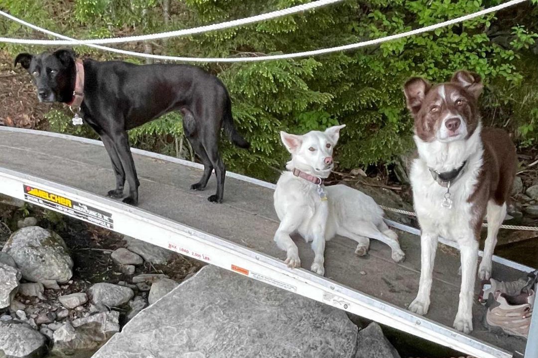 Photo of Others in Monmouth