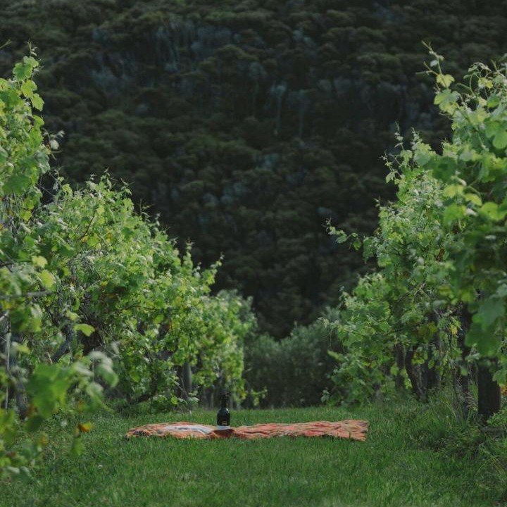 Photo of Others in Tutukaka