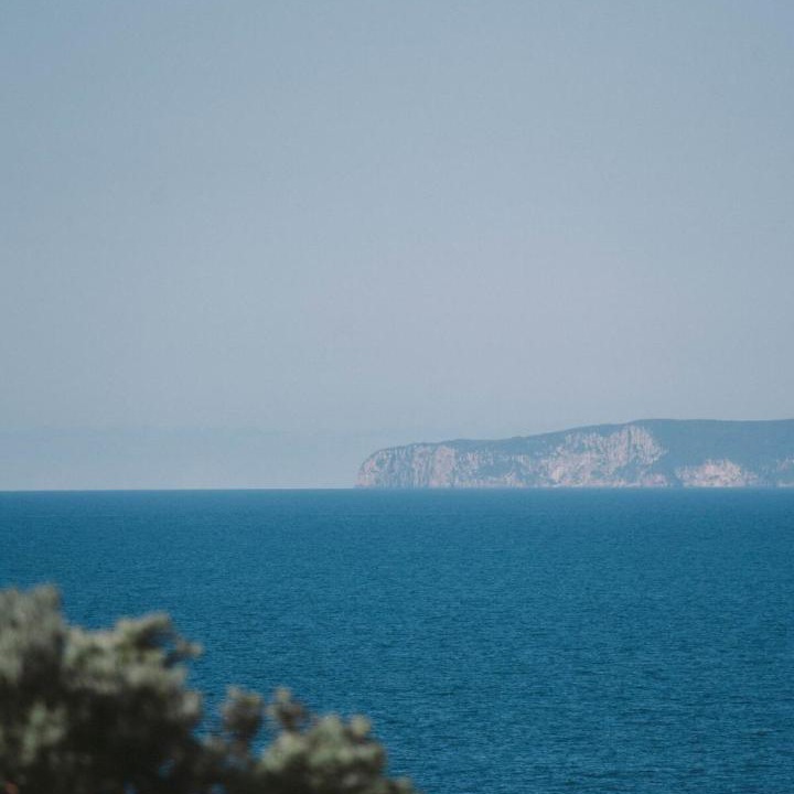 Photo of Others in Tutukaka